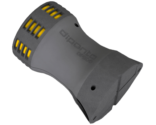 DP 300